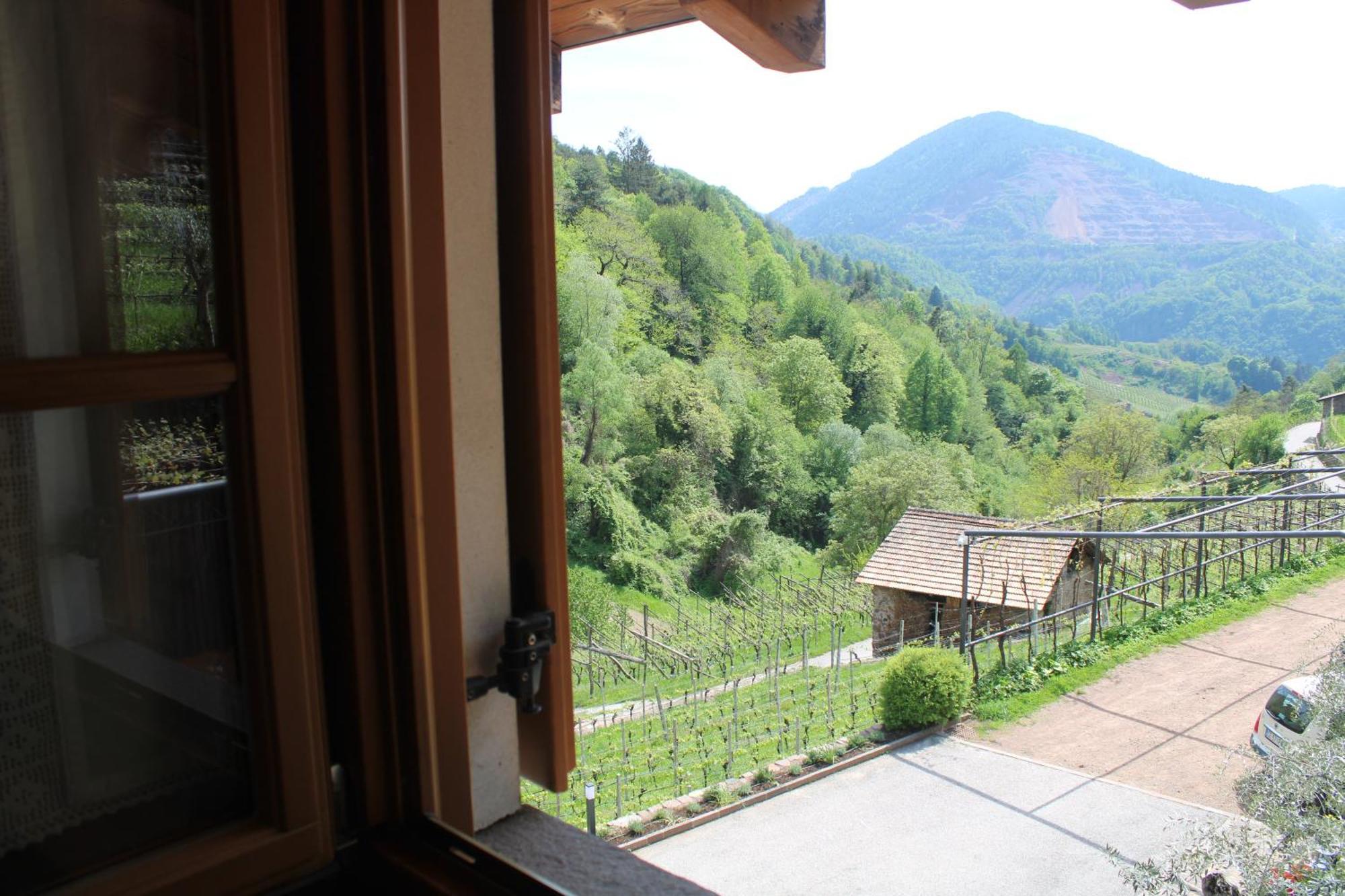 Agriturismo Valfraja เชมบรา ภายนอก รูปภาพ