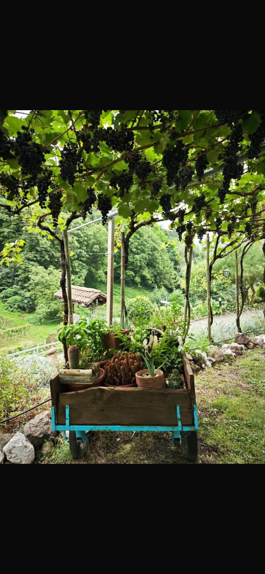 Agriturismo Valfraja เชมบรา ภายนอก รูปภาพ