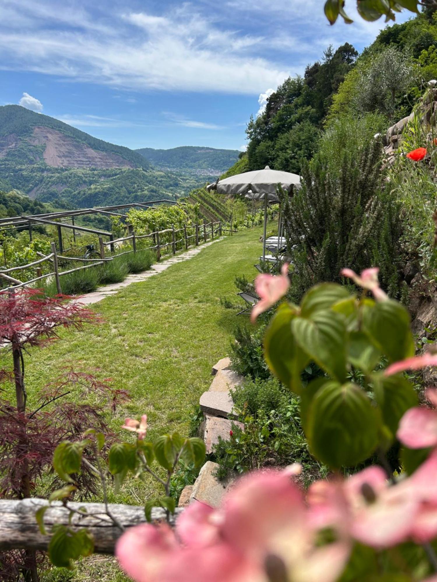 Agriturismo Valfraja เชมบรา ภายนอก รูปภาพ